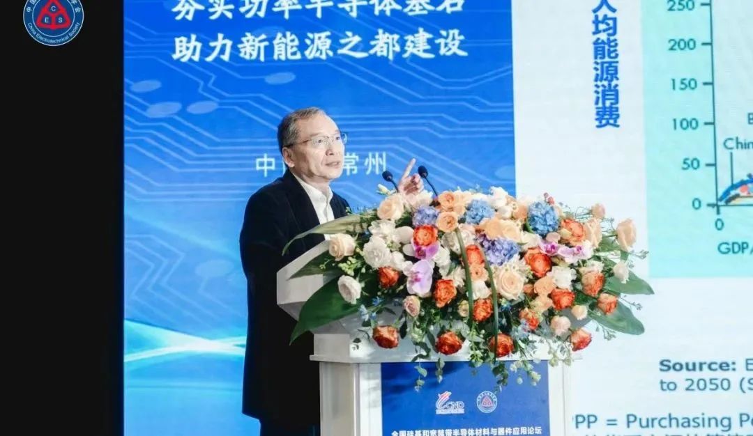  浙江大學求是特聘教授、中國電源學會名譽理事長  徐德鴻